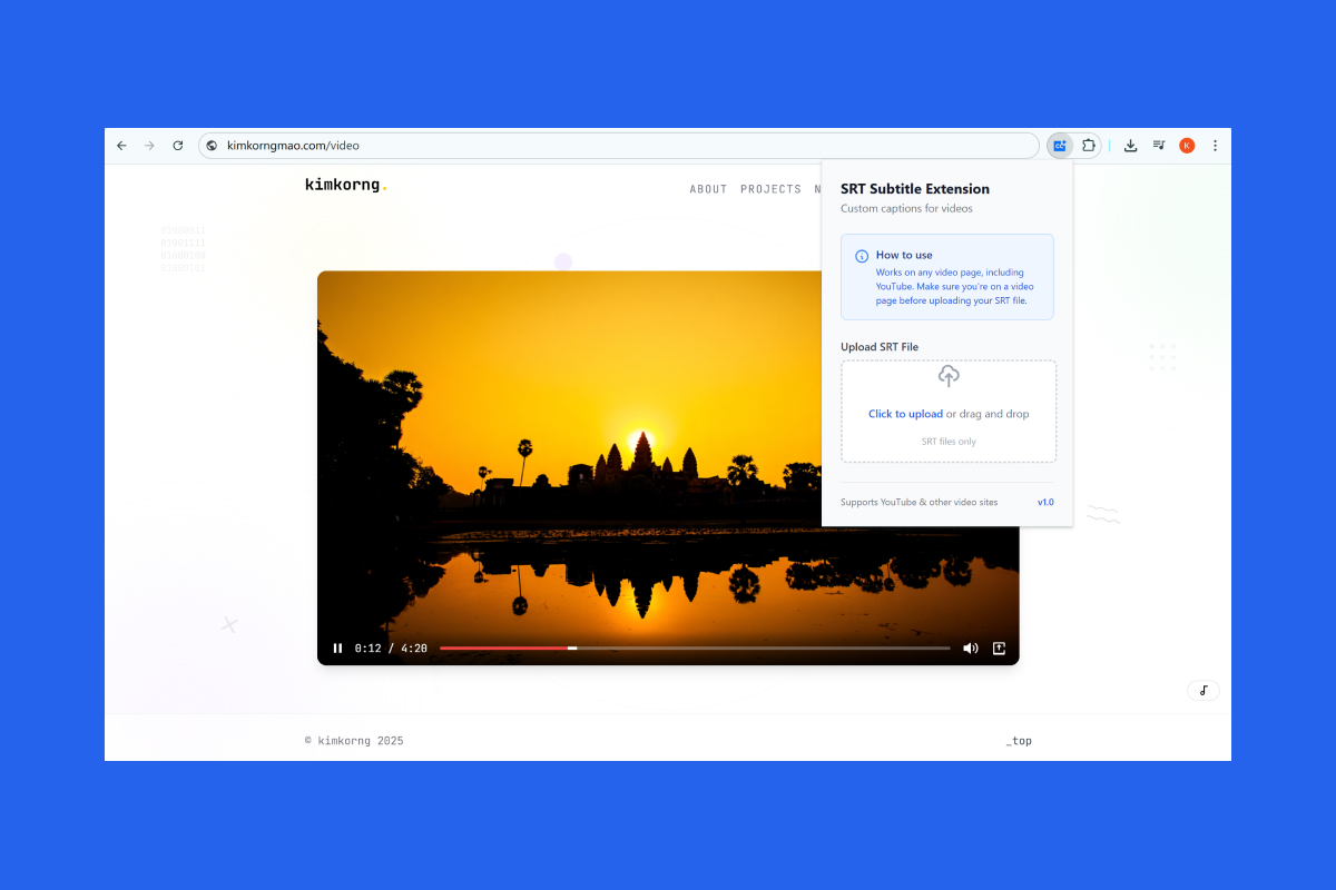 SubtitleExtension